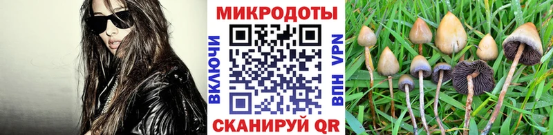 Галлюциногенные грибы Magic Shrooms  Купить закладки  Калязин 